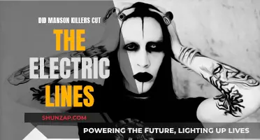 Manson Killers: Electric Lines Cut, Darkness Falls