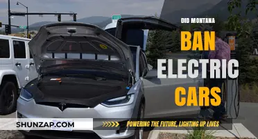 Montana's Electric Car Ban: Fact or Fiction? Unraveling the Truth
