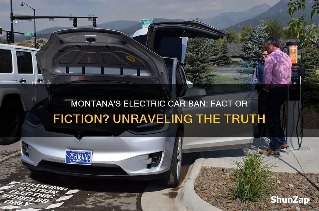 did montana ban electric cars