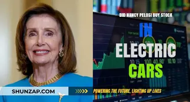 Nancy Pelosi's Electric Car Stock Purchases: Fact or Fiction?