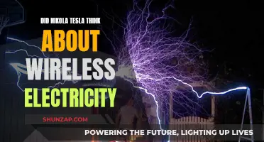 Nikola Tesla's Wireless Electricity Vision: A Reality?
