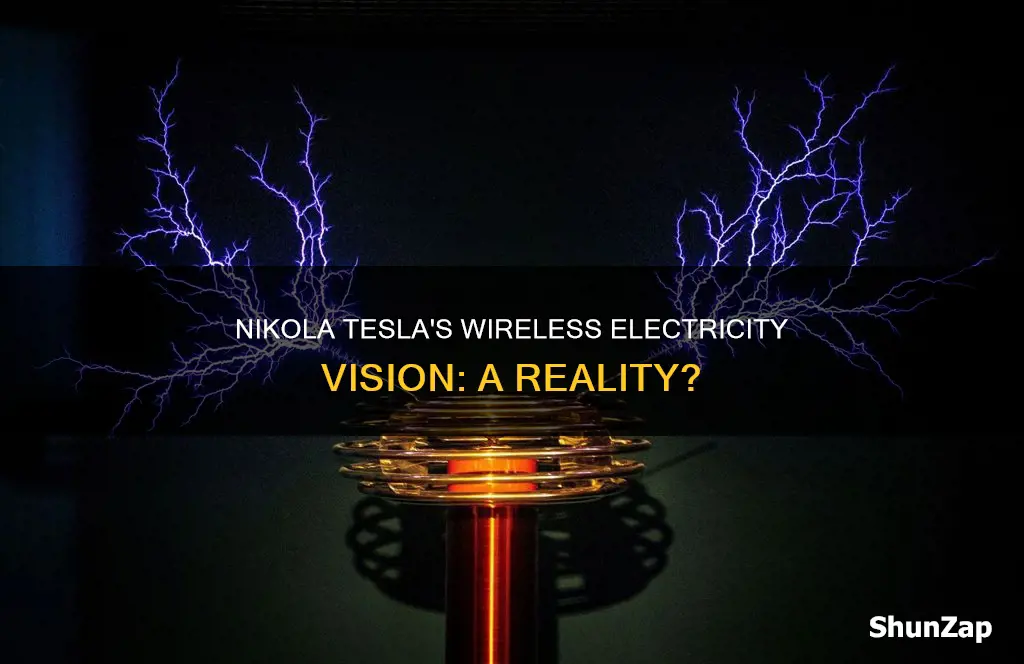 did nikola tesla think about wireless electricity