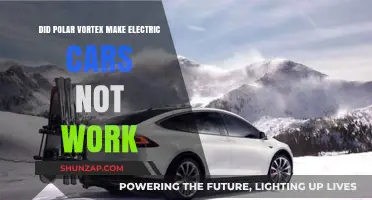 Polar Vortex Impact: Did Extreme Cold Disable Electric Vehicles?