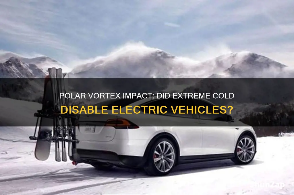 did polar vortex make electric cars not work