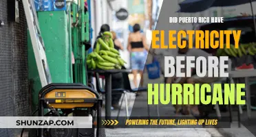 Puerto Rico's Electricity: Pre-Hurricane Status Quo