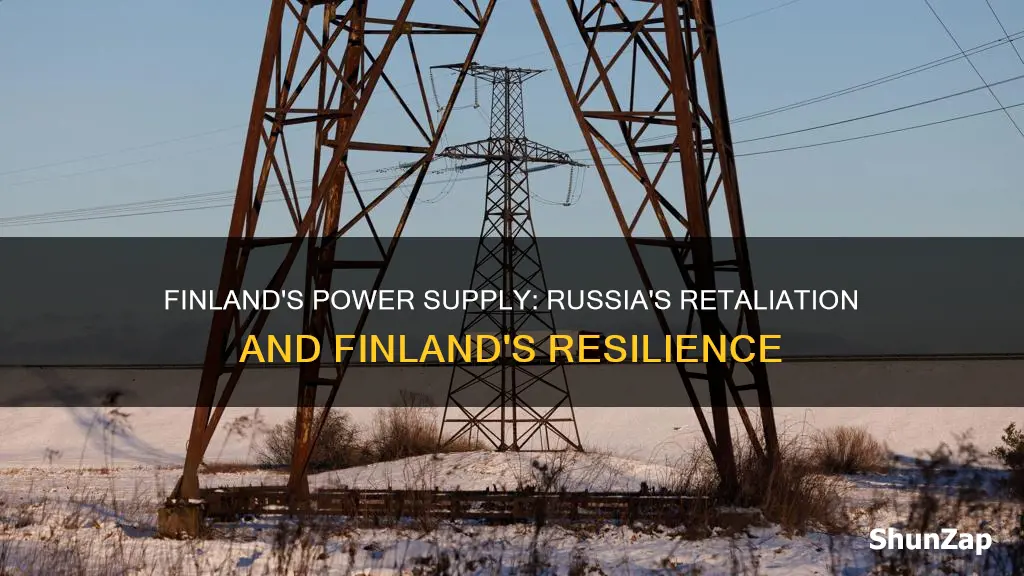 did russia cut off electricity to finland