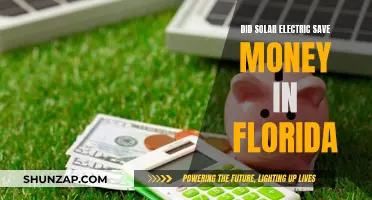 Solar Electric: Florida's Money-Saving Superpower?