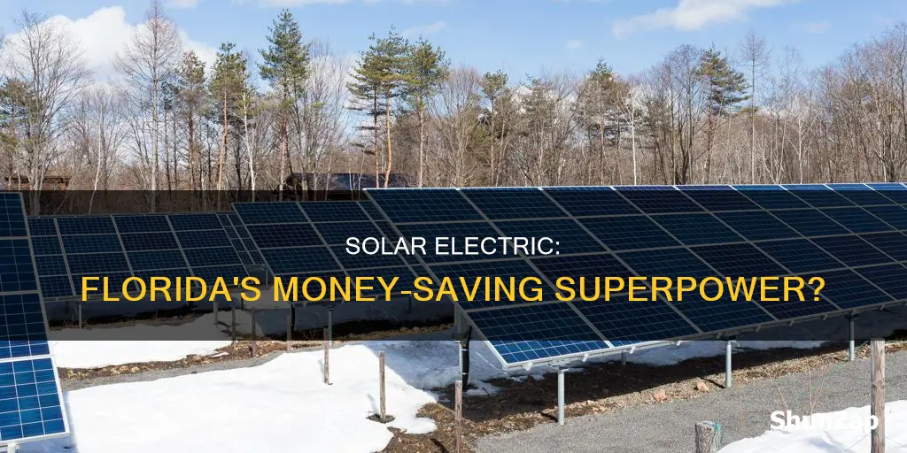 did solar electric save money in florida