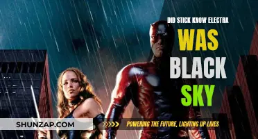 Stick's Knowledge: Did He Know About Electra's Black Sky?