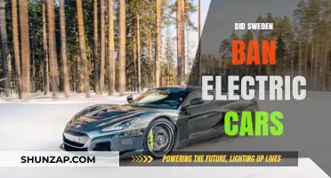 Sweden's Electric Car Policy: Ban or Misinformation?