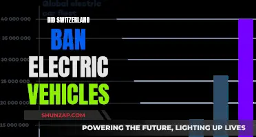Switzerland's Electric Vehicle Future: Ban or Embrace?