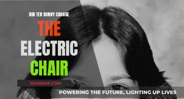 The Electric Chair: Ted Bundy's Final Choice