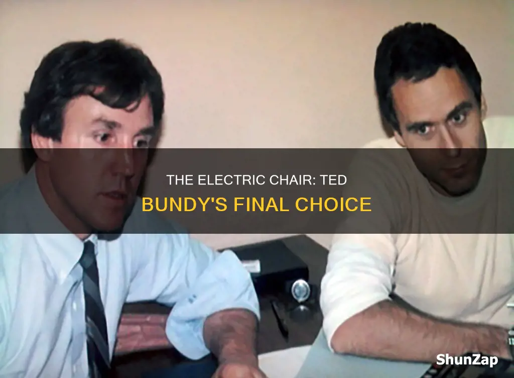 did ted bundy choose the electric chair