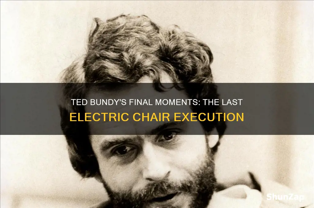 did ted bundy using the last electric chair execution