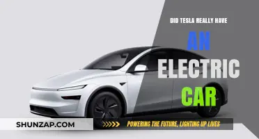 Did Tesla Truly Pioneer the Electric Car Revolution?