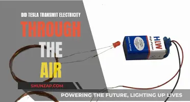 Tesla's Wireless Electricity: Dream or Reality?