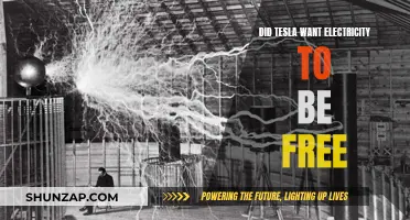 Tesla's Vision: Free Electricity for All?