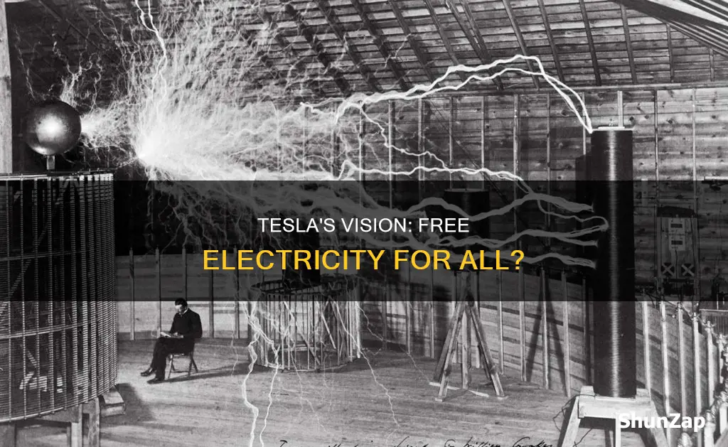 did tesla want electricity to be free