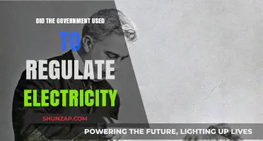 Government's Role in Electricity Regulation: A Historical Overview