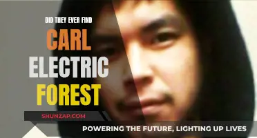 The Mystery of Carl: Electric Forest Disappearance