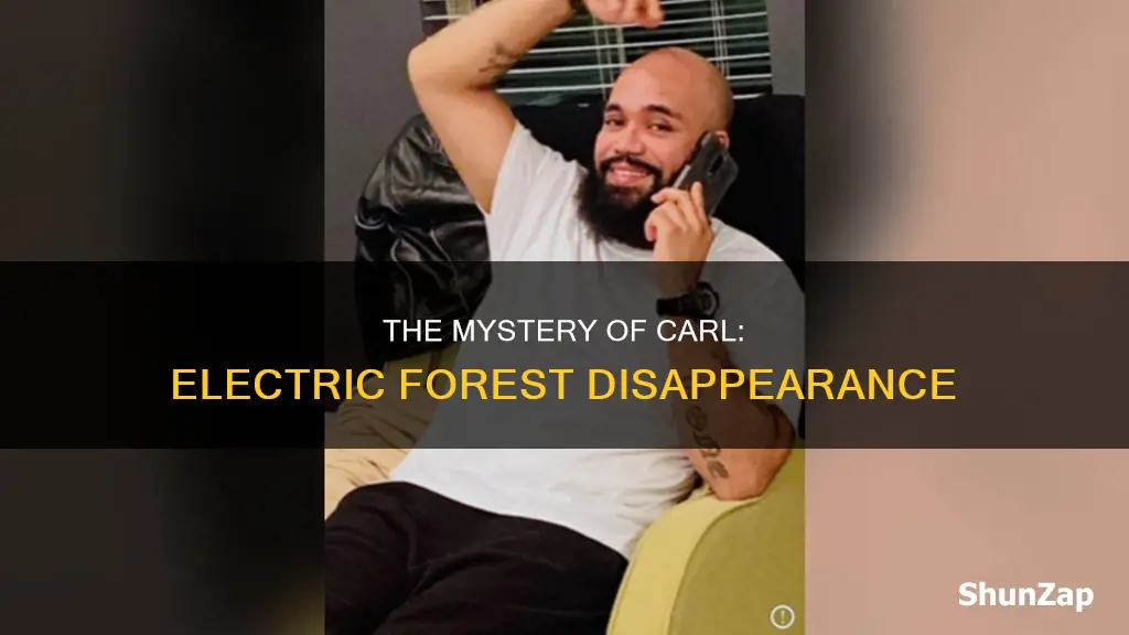 did they ever find carl electric forest