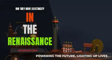 Electricity in the Renaissance: A Historical Perspective