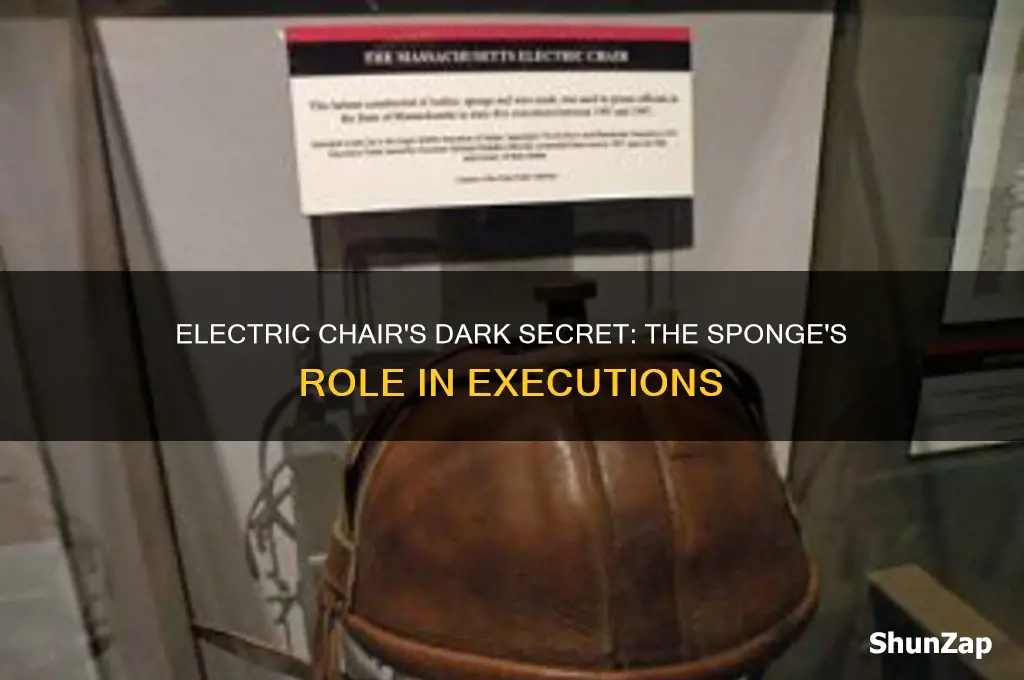 did they use a sponge in the electric chair