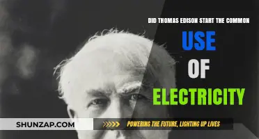 Thomas Edison's Role in Popularizing Electricity: Fact or Fiction?