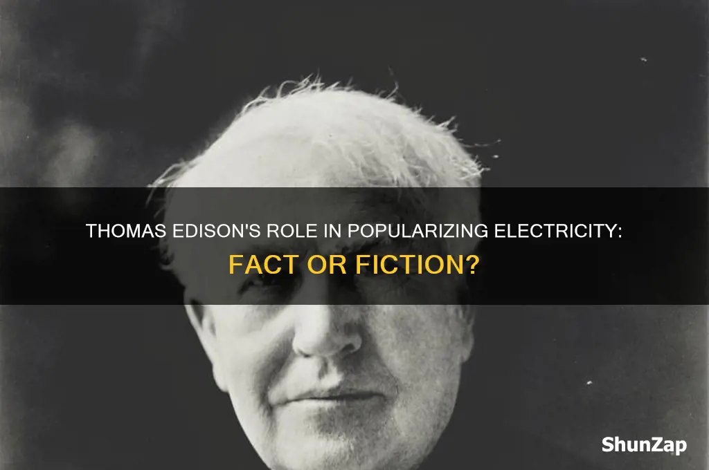 did thomas edison start the common use of electricity
