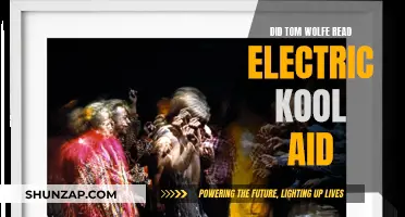 Tom Wolfe's Electric Kool-Aid Acid Test: A Reader's Perspective