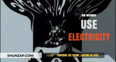 Did Wizards Harness Electricity? Exploring Magical and Scientific Connections