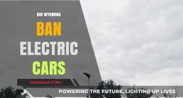 Wyoming's Electric Car Ban: Fact or Fiction? Unraveling the Truth