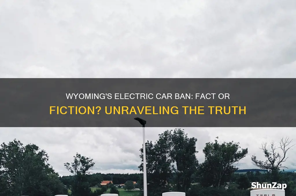 did wyoming ban electric cars
