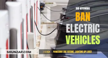 Wyoming's Electric Vehicle Ban: Unraveling the Truth