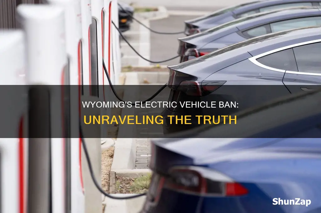 did wyoming ban electric vehicles