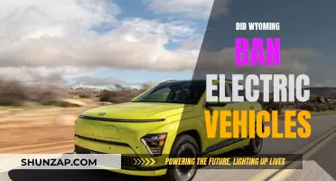 Wyoming's Electric Vehicle Ban: A Step Backwards?