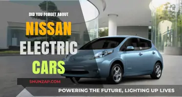 Nissan's Electric Revolution: Have You Overlooked Their Green Innovations?