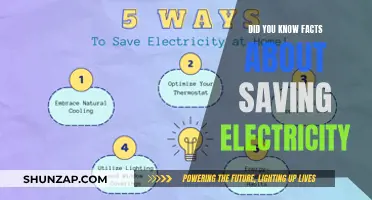 Saving Electricity: Surprising Facts You Need to Know