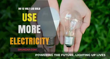 Do 12V LED Bulbs Consume More Electricity Than Traditional Lights?