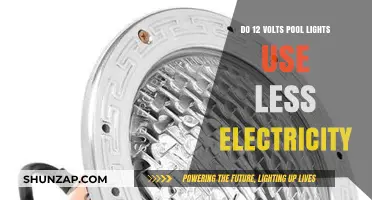 Energy Efficiency of 12-Volt Pool Lights: Do They Save Electricity?