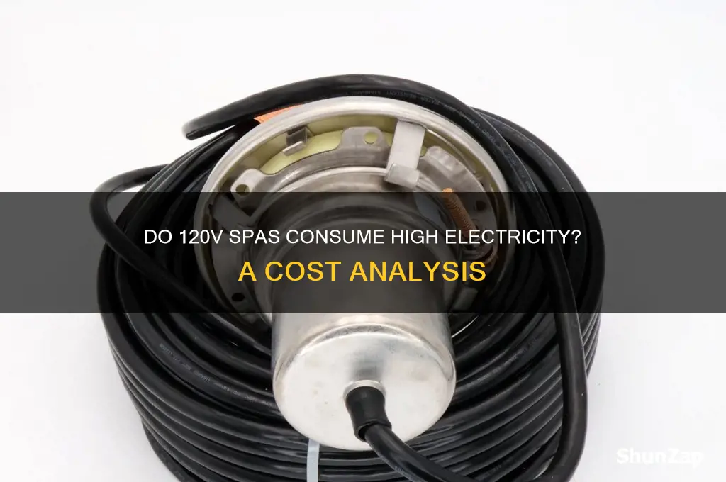 do 120v spas use a lot of electricity