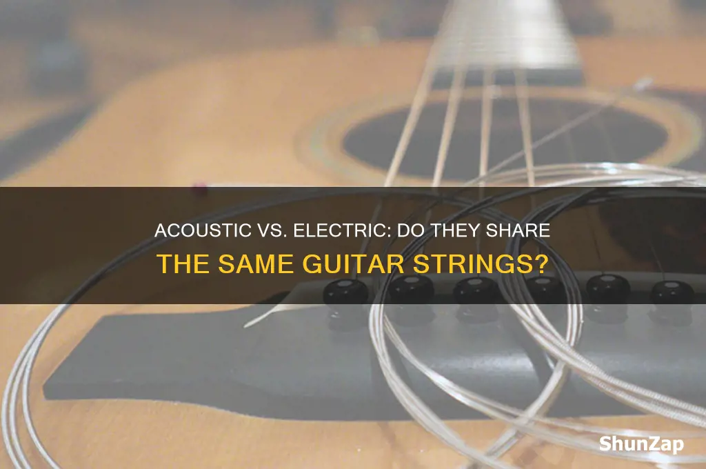 do acoustic and electric guitars use the same strings
