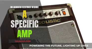 Acoustic-Electrics: Do They Need Special Amps?