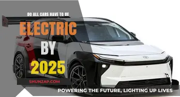 Electric Vehicles by 2025: Myth or Mandatory for All Cars?