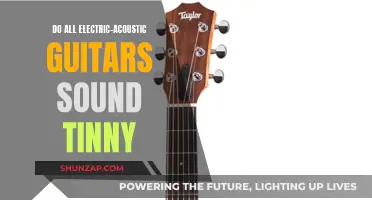 Electric-Acoustic Guitars: Tinny Tone or Rich Sound?