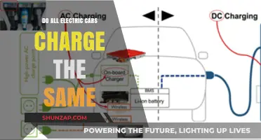Do All Electric Cars Charge the Same? Exploring EV Charging Differences