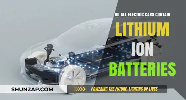 Do All Electric Cars Use Lithium-Ion Batteries? Exploring EV Power Sources
