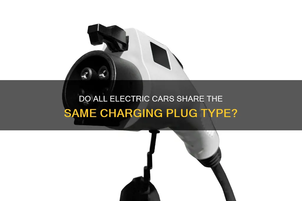 do all electric cars have same plug