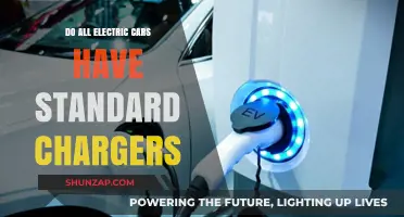 Do All Electric Cars Share Standard Chargers? A Comprehensive Guide