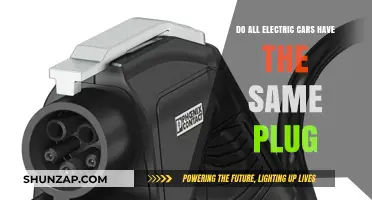 Do All Electric Cars Share the Same Charging Plug Type?